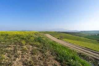 Finca rústica a Cártama. Terreno rustico a 1,8 km de autovía
