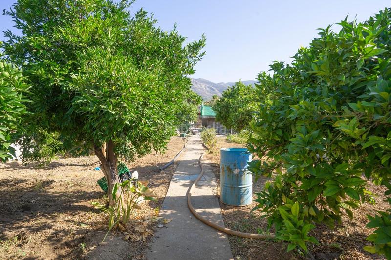 Foto 6e0c1431-3edd-4992-99d0-ff69f74f65fe. Xalet amb aparcament piscina a Centro Alhaurín el Grande