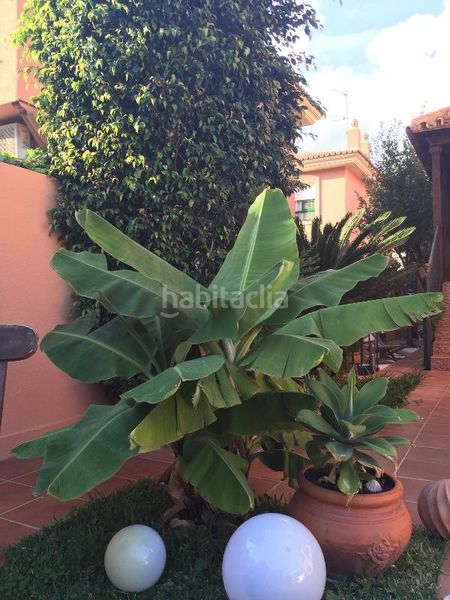 Foto 36467f06-a93c-41be-8b53-7cea953629ed. Rent towny house with parking pool in Capellanía - Retamar Alhaurín de la Torre