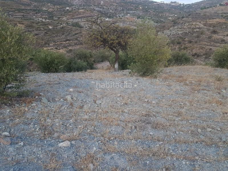 Foto 1ec6aeed-8aa1-4d07-80d2-46d0226b8548. Terreno residencial parcela ubicada en félix en Felix