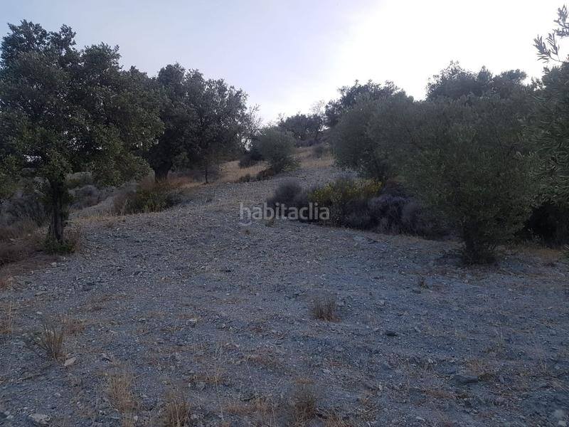 Foto 7c89c631-310b-4887-bf53-f7e183879e91. Terreno residencial parcela ubicada en félix en Felix