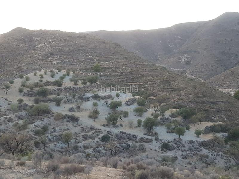 Foto a634cec5-58dc-42e4-8d24-0e2d2bfc9711. Terreno residencial parcela ubicada en félix en Felix