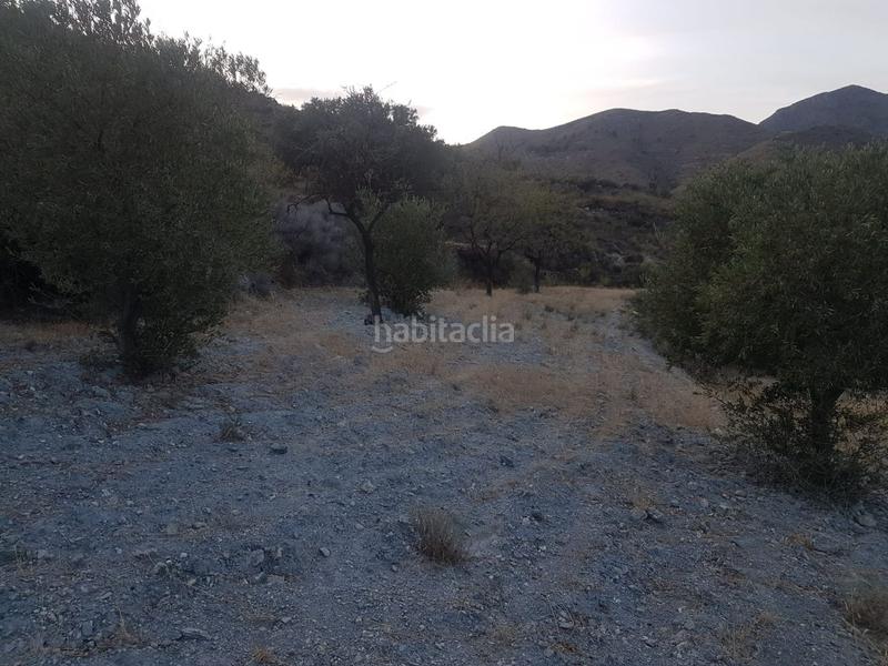 Foto b09ac45c-2b62-4097-8302-736b945dd312. Terreno residencial parcela ubicada en félix en Felix