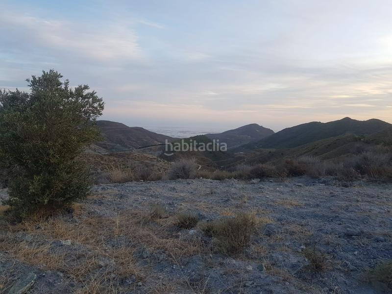 Foto b3b6b822-91e9-40b8-80ea-26340af60e9f. Terreno residencial parcela ubicada en félix en Felix
