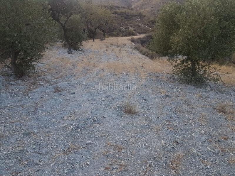 Foto bebd76f7-d5f0-48ce-bb6d-b0ae66fe3c5a. Terreno residencial parcela ubicada en félix en Felix