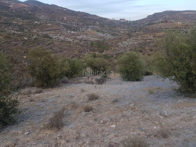 Foto cad7d79c-4a41-41e4-a31b-868c37f6cc8e. Terreno residencial parcela ubicada en félix en Felix