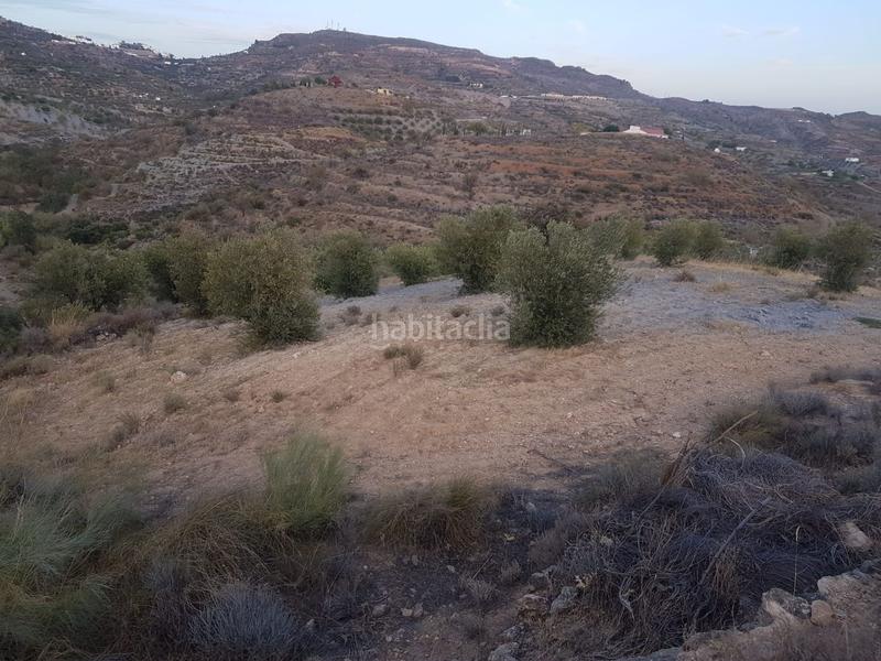 Foto e363c2e3-6cc9-401e-8d31-0a3e01af86b1. Terreno residencial parcela ubicada en félix en Felix