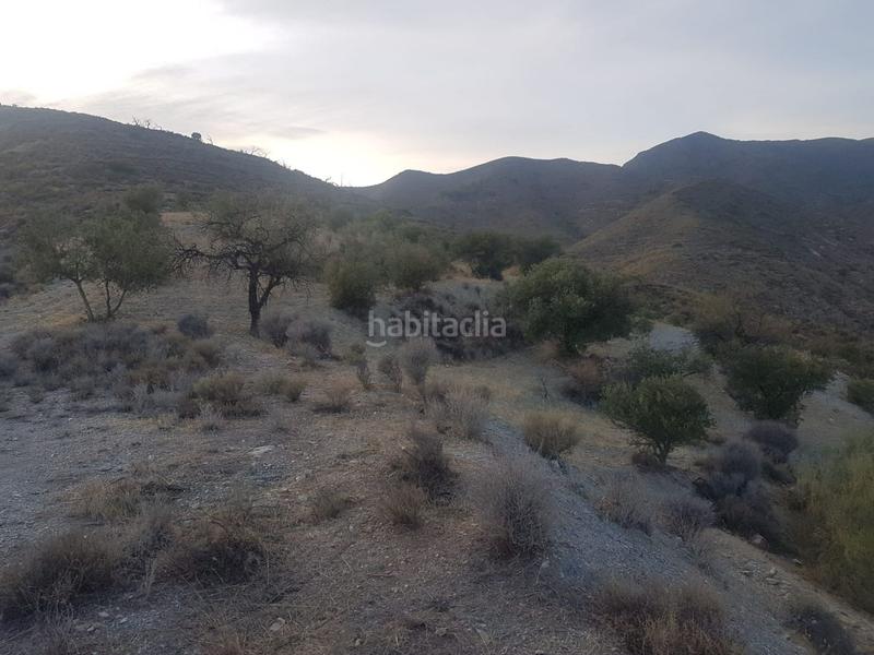 Foto eab033f3-6fb8-4bf4-8d90-a476f20681e0. Terreno residencial parcela ubicada en félix en Felix