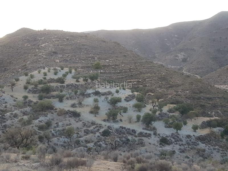 Foto f4ee8551-4455-40ba-aa2d-964baa69b5c0. Terreno residencial parcela ubicada en félix en Felix