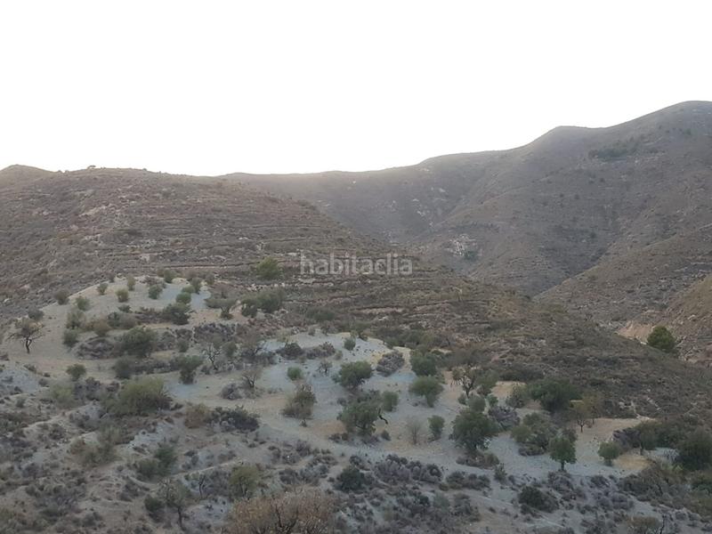 Foto fa44a7e6-083c-4dec-8089-ec648a4f23e1. Terreno residencial parcela ubicada en félix en Felix