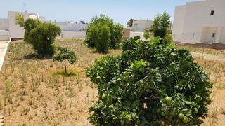Residential Plot in El Palmeral. Ven1995