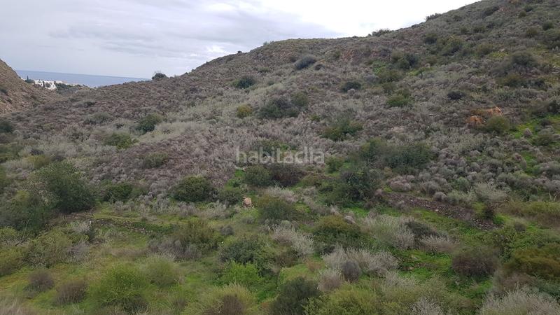 Foto 434da2a7-e9ca-43c4-9f24-45e67b77b685. Masía ven 2006 en Mojácar pueblo Mojácar