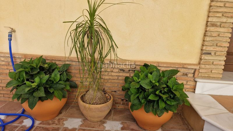 Foto d0d91f04-2994-41c3-adc8-59072afd95cc. Casa a Turre