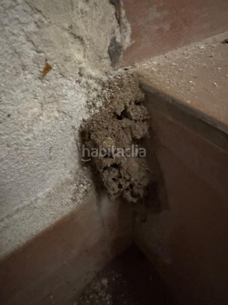 Foto 53046c8c-c760-4d30-a6eb-1e1d1b531973. Mas dans Sorbas