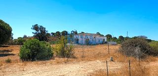 Masia  Polígono 11 parcela 455 diseminado 444. Gran oportunidad! finca rústica con 4 parcelas