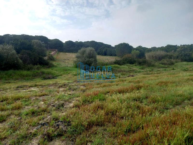 Foto 00424404-fe7c-4fd5-b47c-47a361f848d8. Terreno residenziale in Núcleo Urbano Aljaraque