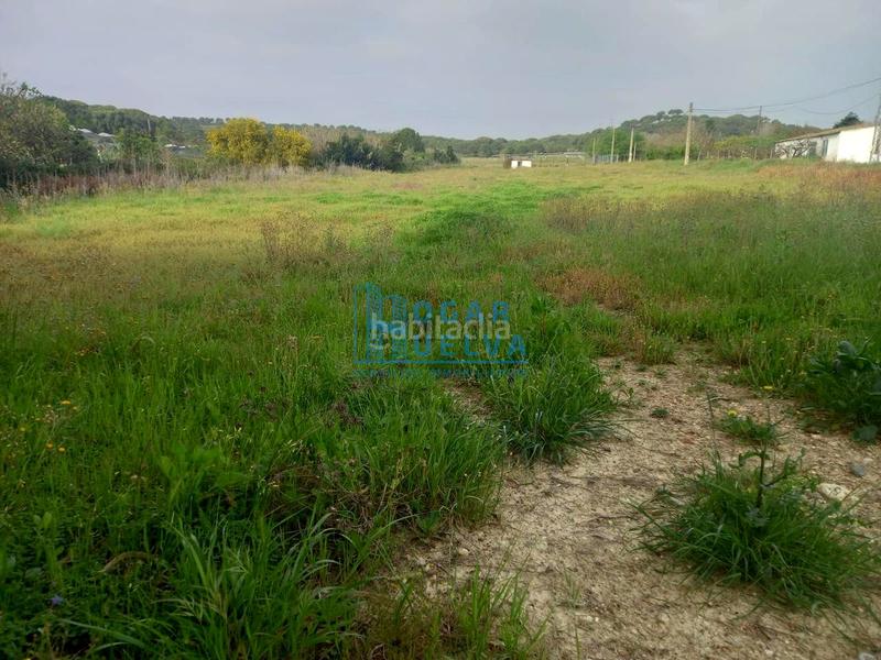 Foto 33177871-7dcf-415c-895a-ba0d4f08e4ef. Terreno residenziale in Núcleo Urbano Aljaraque