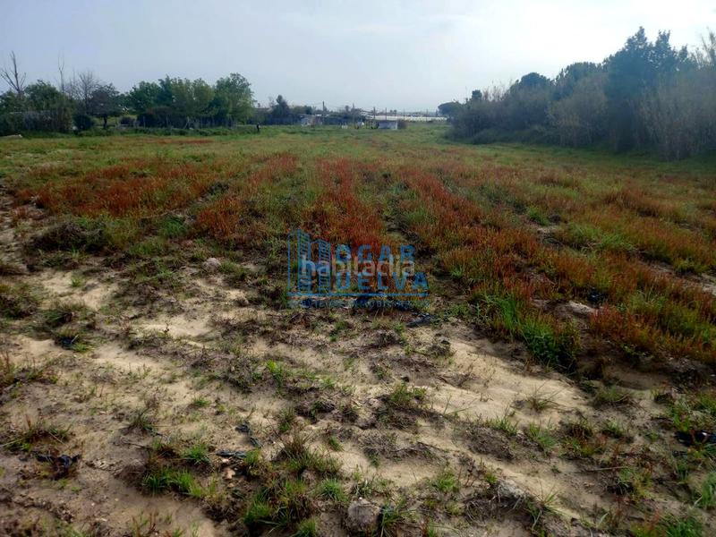 Foto 62dd148d-4ec3-4e82-8695-8d9e8e05b9fa. Terreno residenziale in Núcleo Urbano Aljaraque