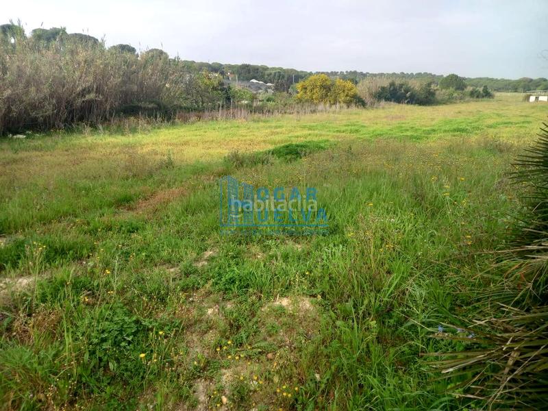 Foto 7262f616-9e8d-4c43-9717-2cb42716162a. Terreno residenziale in Núcleo Urbano Aljaraque