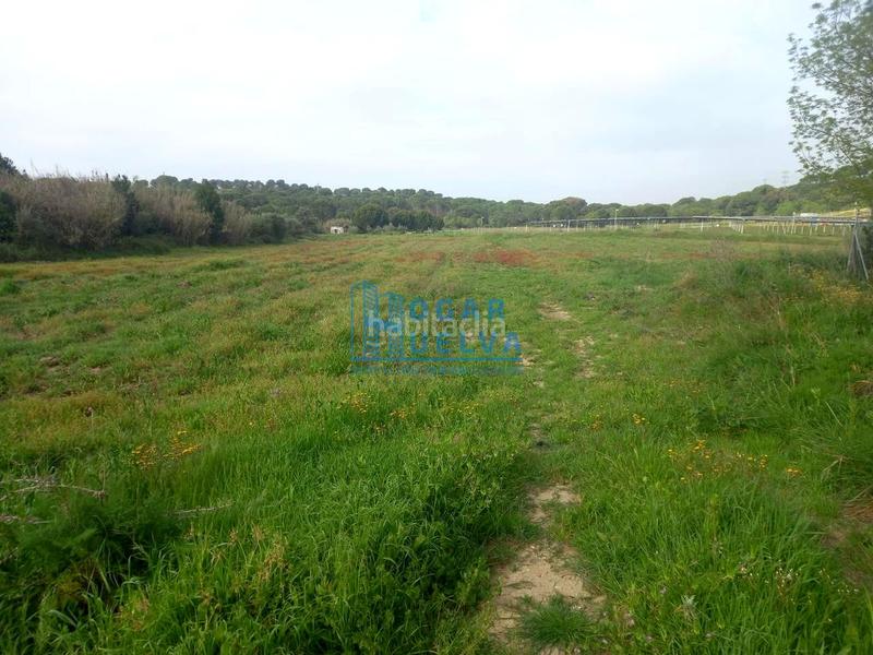 Foto 80fcc8ab-382c-4d3b-9a6e-d860b9d442d0. Terreno residenziale in Núcleo Urbano Aljaraque
