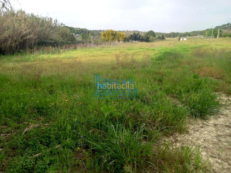 Foto a9415b03-70c9-427c-aeef-ff6df8533837. Terreno residenziale in Núcleo Urbano Aljaraque