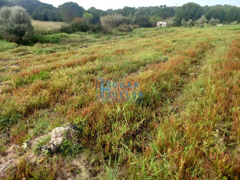 Foto bd6c0d39-8081-4937-86f8-2d7b7350eb05. Terreno residenziale in Núcleo Urbano Aljaraque