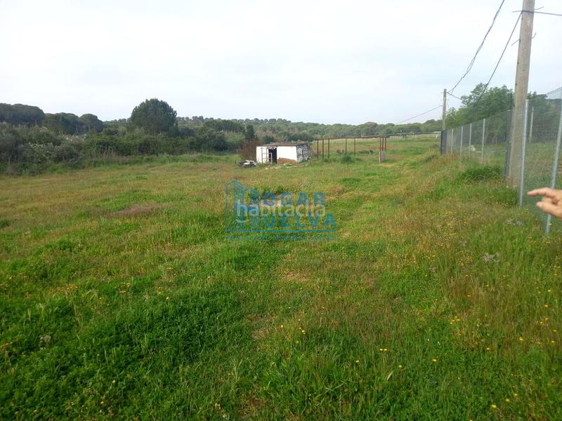 Foto f2a49114-e8cf-4ae7-af8f-591f72733c59. Terreno residenziale in Núcleo Urbano Aljaraque