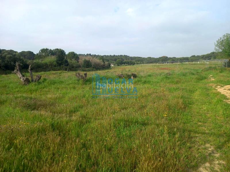 Foto f8741c27-c994-42d5-8f9c-f37d6ce94482. Terreno residenziale in Núcleo Urbano Aljaraque