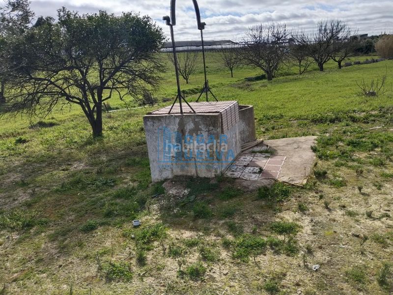 Foto 7786e1e8-857a-4220-bd0f-029d92ba58c9. Masia a Bollullos Par del Condado
