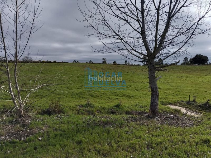 Foto 9117c824-8cdb-4195-b6b8-a4476e4d722d. Masia a Bollullos Par del Condado