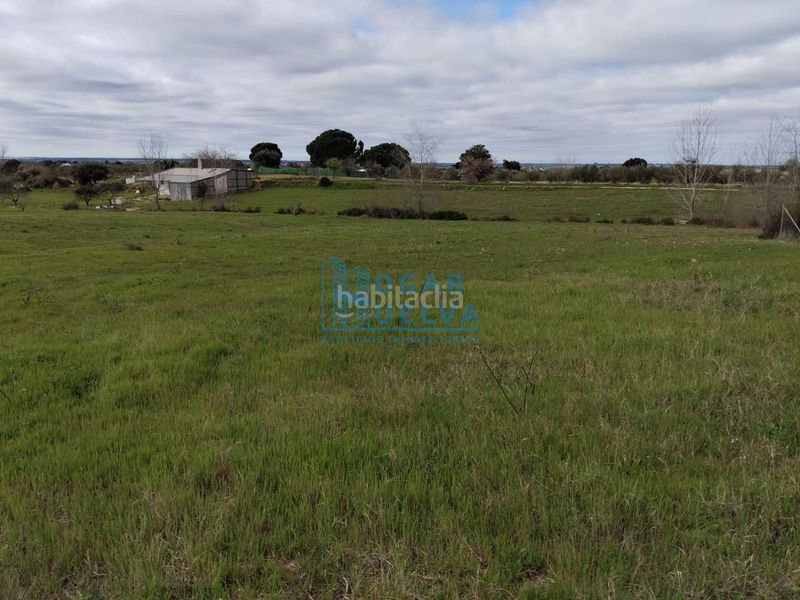 Foto bdaee8f2-989a-476a-99ef-4bf74ea65c5e. Masia a Bollullos Par del Condado