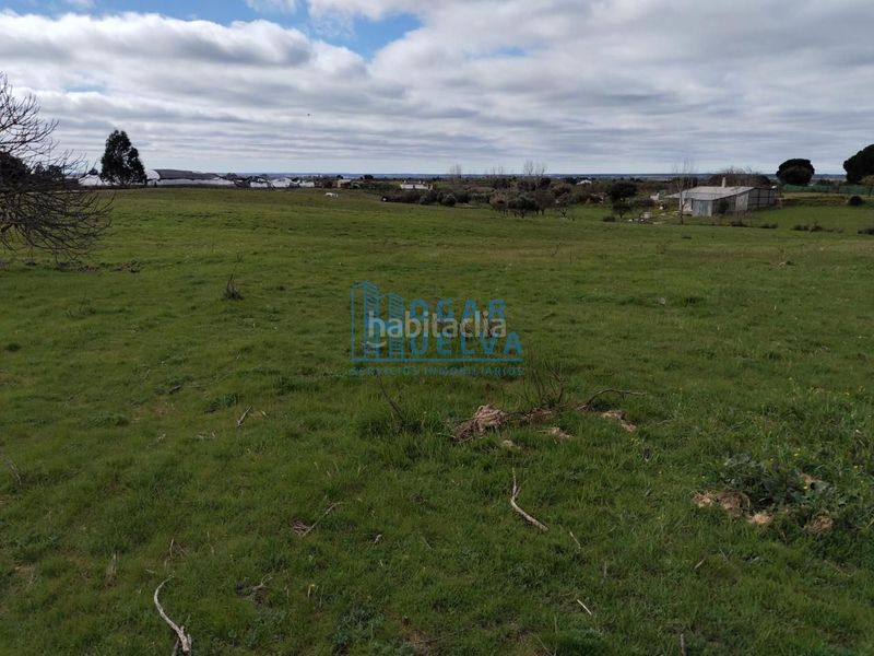 Foto dcbec734-3451-47e2-a9de-4643fc45b5f5. Masia a Bollullos Par del Condado