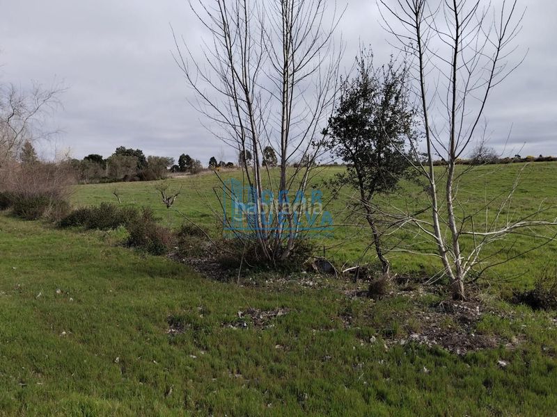 Foto df49e526-f41a-4b28-8ae0-731c79e277ca. Masia a Bollullos Par del Condado
