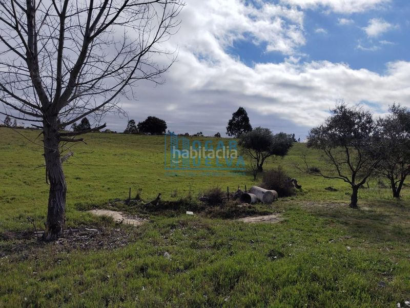 Foto ee4f950f-9c55-40be-976c-089bfb539180. Masia a Bollullos Par del Condado