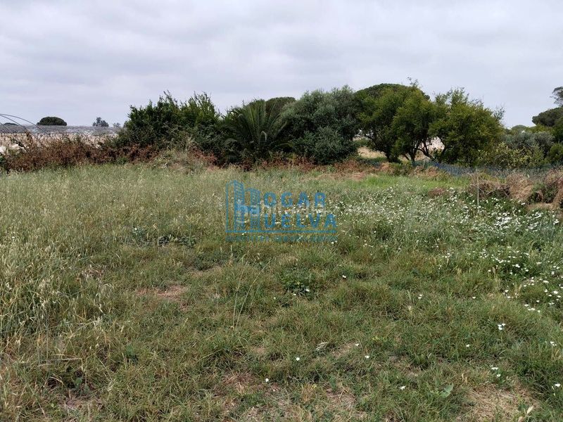 Foto 6d2c1927-8ebc-4594-9255-59072888a5f7. Casa a Bonares