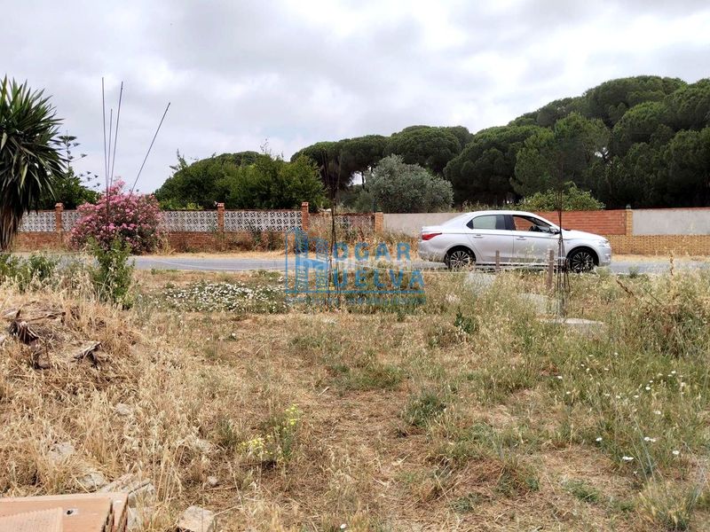Foto e8827287-d3a8-4b44-860b-5aa595193725. Casa a Bonares