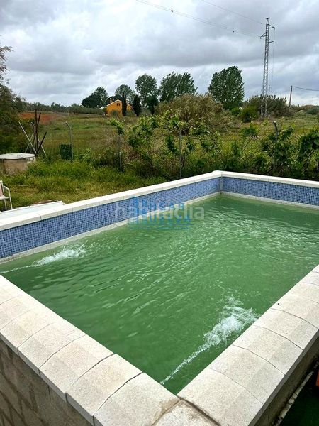 Foto 1390cd9c-5a6f-45ab-a148-507d40babe0b. Casa amb piscina a Palma del Condado (La)