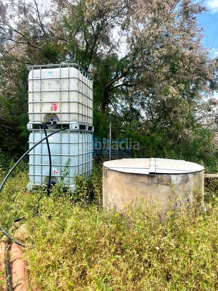 Foto b8f6c92b-f09c-4d47-8ff2-354e6b6a6a54. Casa amb piscina a Palma del Condado (La)