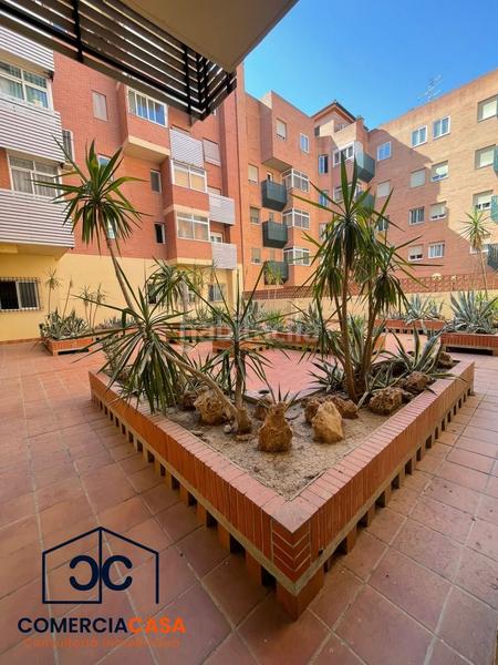 Foto 782f3e41-330d-4c34-8ba2-02d111f55628. Pis a Rosaleda - Juventud Granada