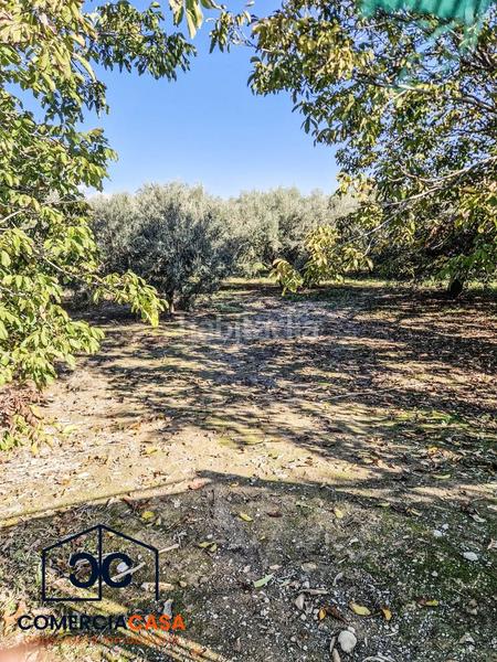 Foto 9003e6e5-a88c-46ae-8e8b-4ebca80a66de. Terreno residencial finca de olivos junto al aeropuerto , buena entrada junto a la autovia. esta cercada en Chauchina