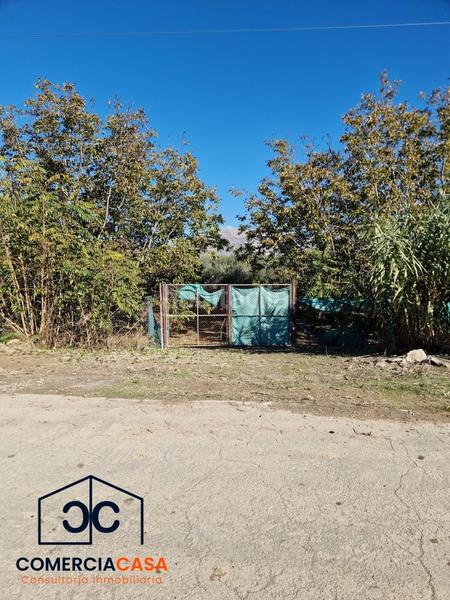 Foto a2d0a6ca-9ecf-4b27-972b-6b40ad1d85b6. Terreno residencial finca de olivos junto al aeropuerto , buena entrada junto a la autovia. esta cercada en Chauchina