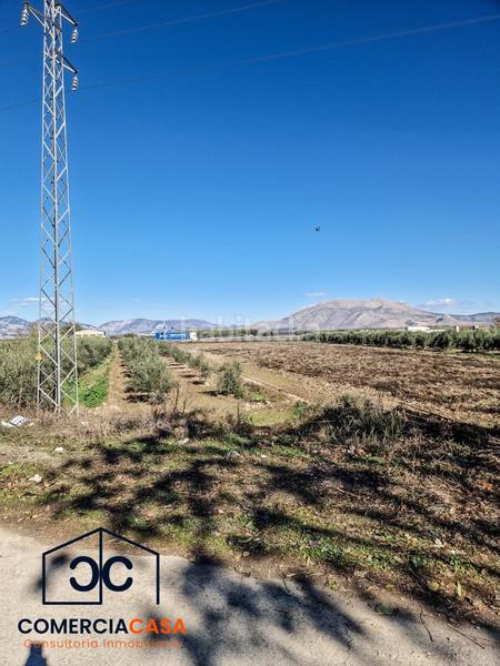 Foto db9a7a82-80be-4f11-841b-69bcc5f23b4a. Terreno residencial finca de olivos junto al aeropuerto , buena entrada junto a la autovia. esta cercada en Chauchina
