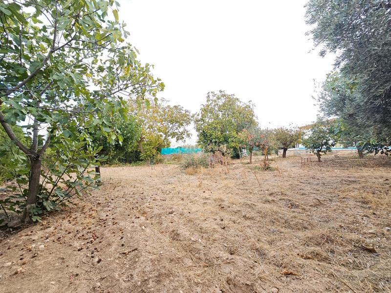 Foto 461ca98e-e021-4ad8-85a7-112bf7d6b78b. Xalet amb aparcament piscina a Padul