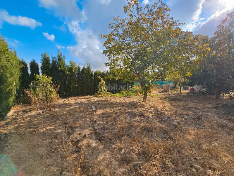 Foto 7b6066fb-609f-4c1a-acef-e873065a8fcf. Xalet amb aparcament piscina a Padul