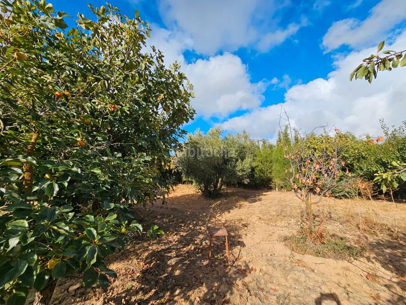 Foto 877b983f-3dbd-41e4-886b-3d5e6caa12ee. Xalet amb aparcament piscina a Padul