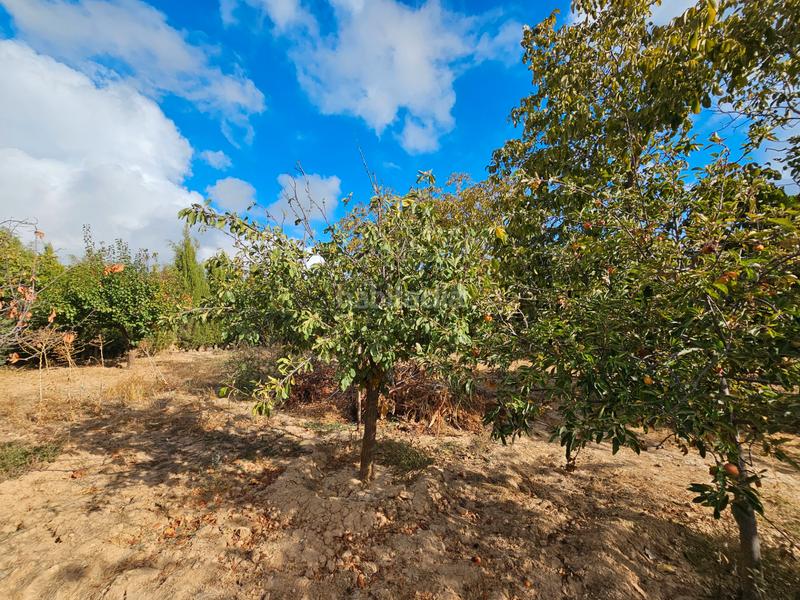 Foto 998e2b00-13b3-4ca0-9463-15a7e08b814d. Xalet amb aparcament piscina a Padul