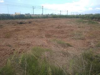 Finca rústica a Pau Lledó. Venta de suelo rústico con una superficie de 3174 m²