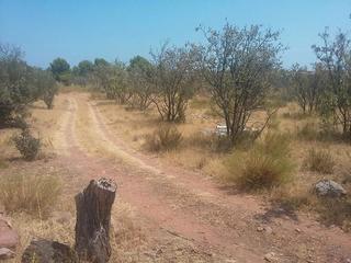 Residential Plot in Heliópolis. Venta de parcela urbanizable de uso residencial en benicassim