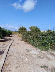 Finca rústica a Rafalafena