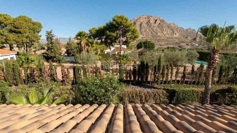 Foto 59746fe8-353e-4543-b849-50e7a94b84e4. Xalet amb calefacció aparcament piscina a Pla de la Vallonga Alicante